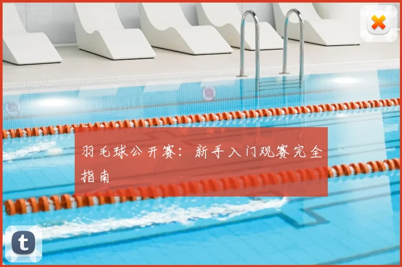 羽毛球公开赛:新手入门观赛完全指南