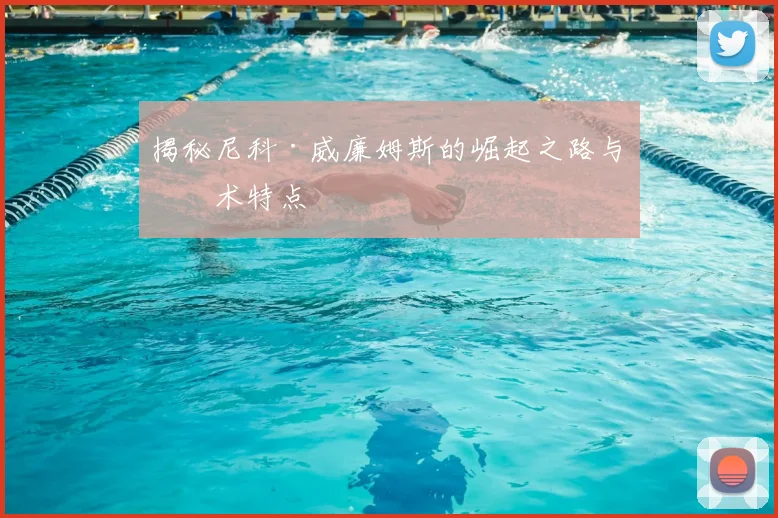 揭秘尼科·威廉姆斯的崛起之路与技术特点