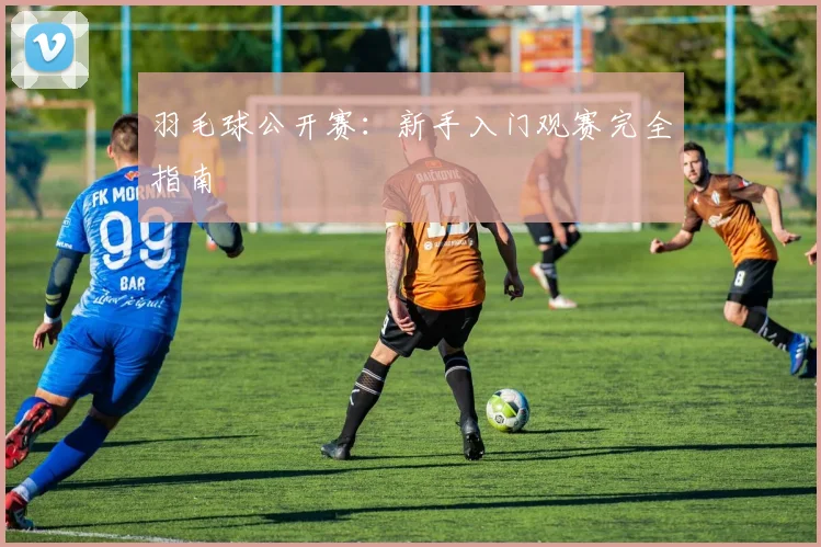 羽毛球公开赛:新手入门观赛完全指南